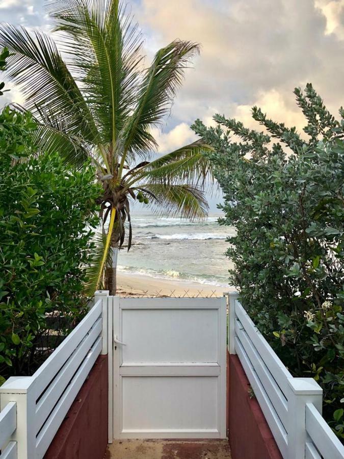 Appartement Au Bord De Mer 르 물레 외부 사진